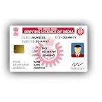 Driving Licence